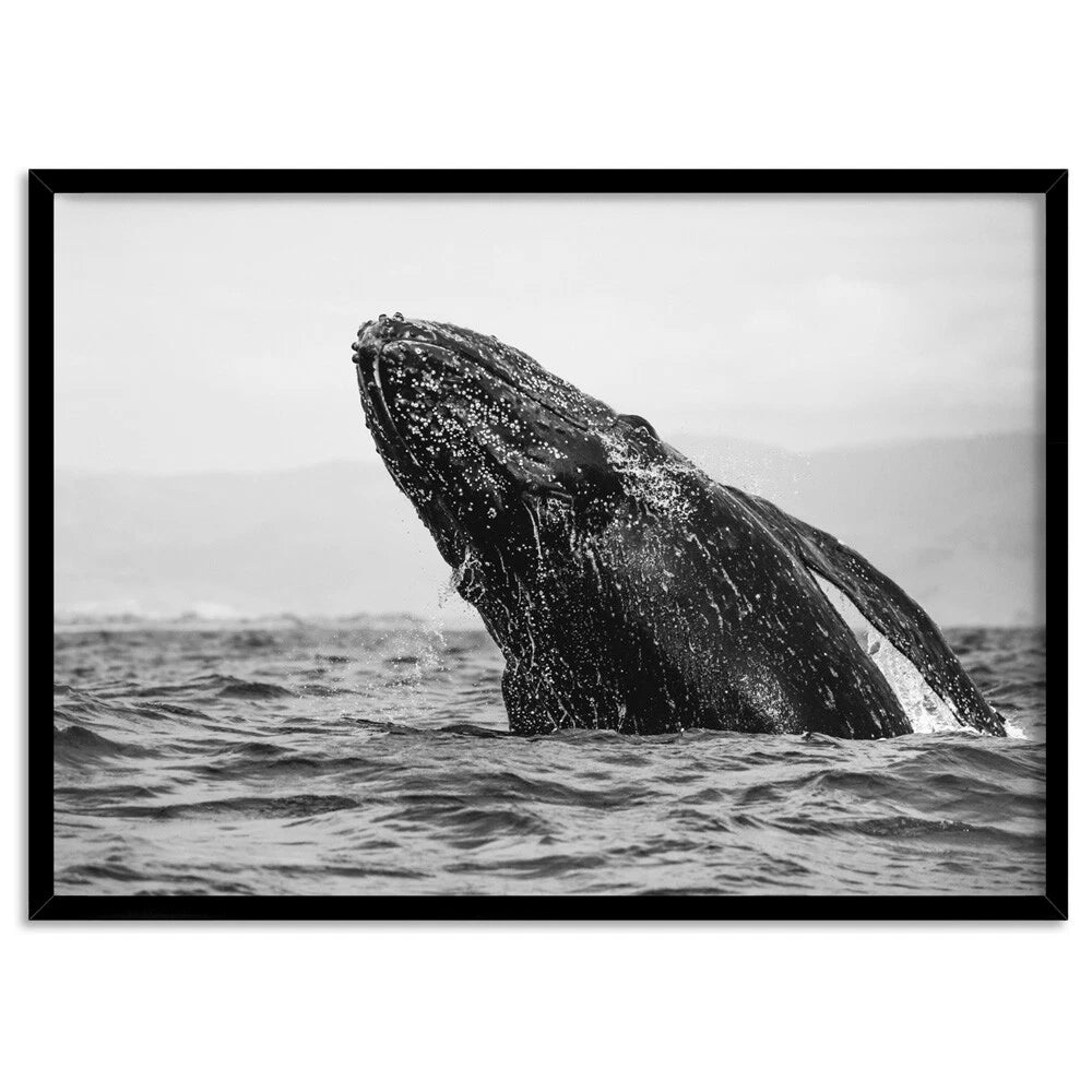 Monochrome Humpback Whale Ocean Canvas Wall Art – black floating frame
