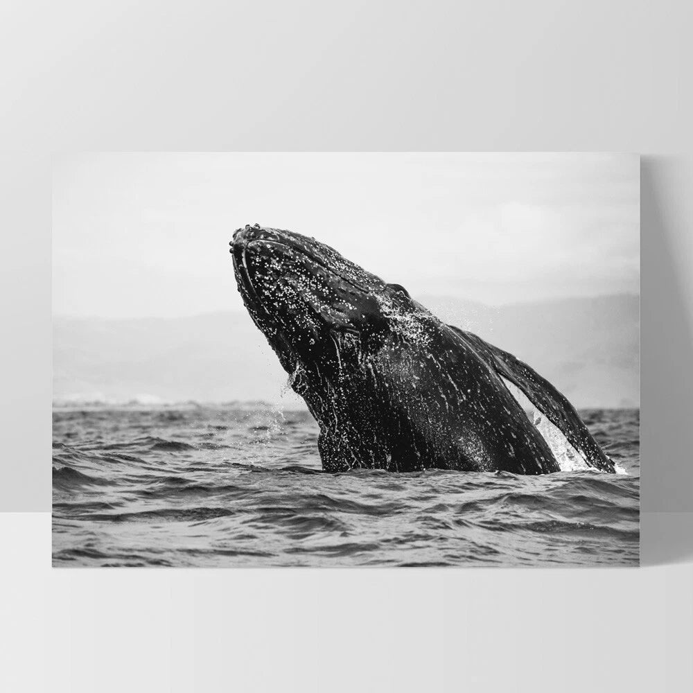 Monochrome Humpback Whale Ocean Canvas Wall Art – white floating frame