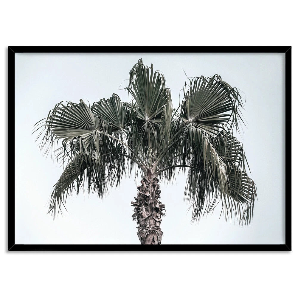 Tropical Palm Tree Landscape Canvas Wall Art – black floating frame