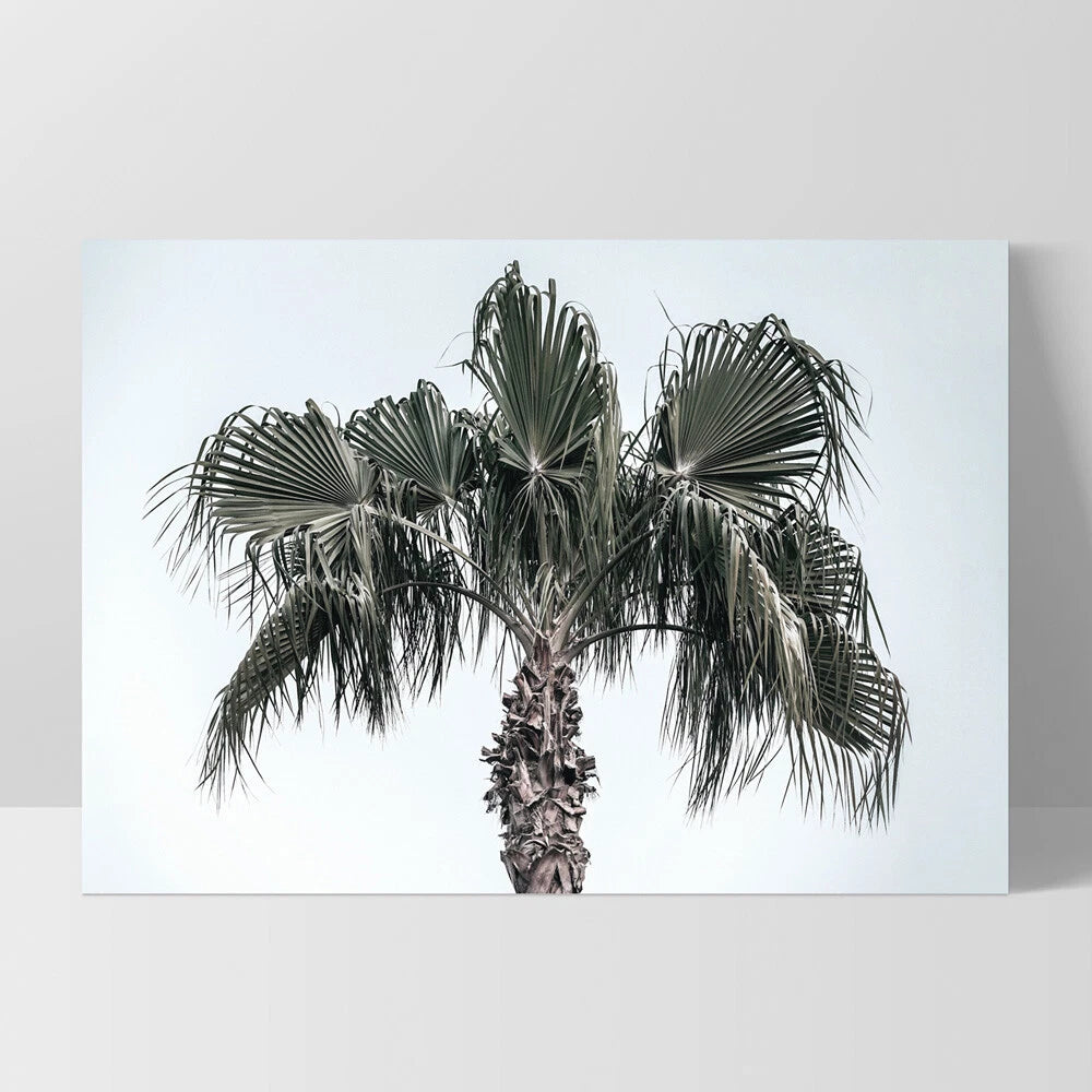 Tropical Palm Tree Landscape Canvas Wall Art – white floating frame