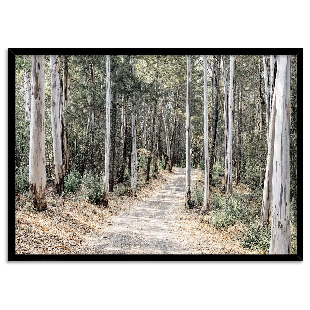 Australian Gumtree Forest Trail Canvas Wall Art – black floating frame