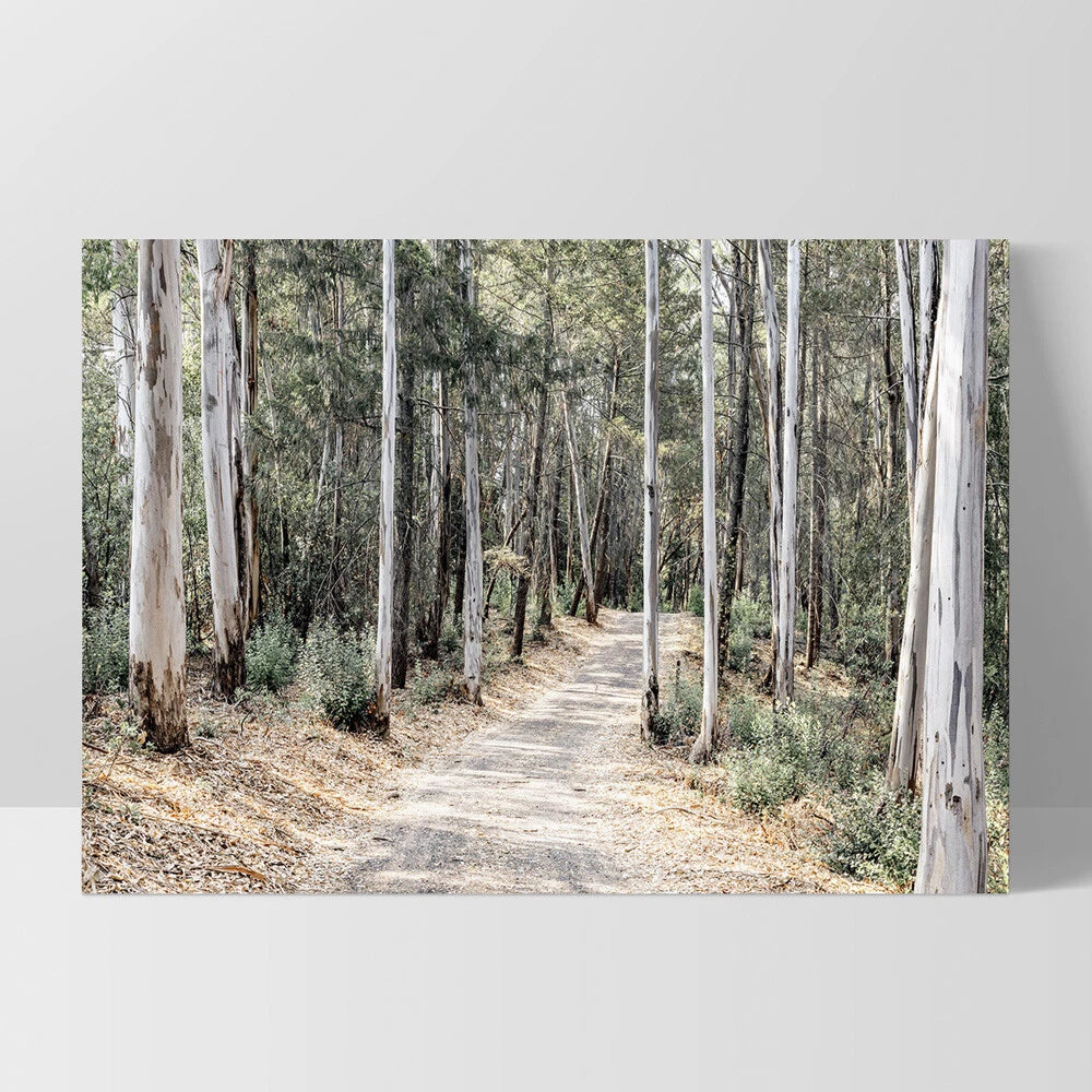 Australian Gumtree Forest Trail Canvas Wall Art – white floating frame
