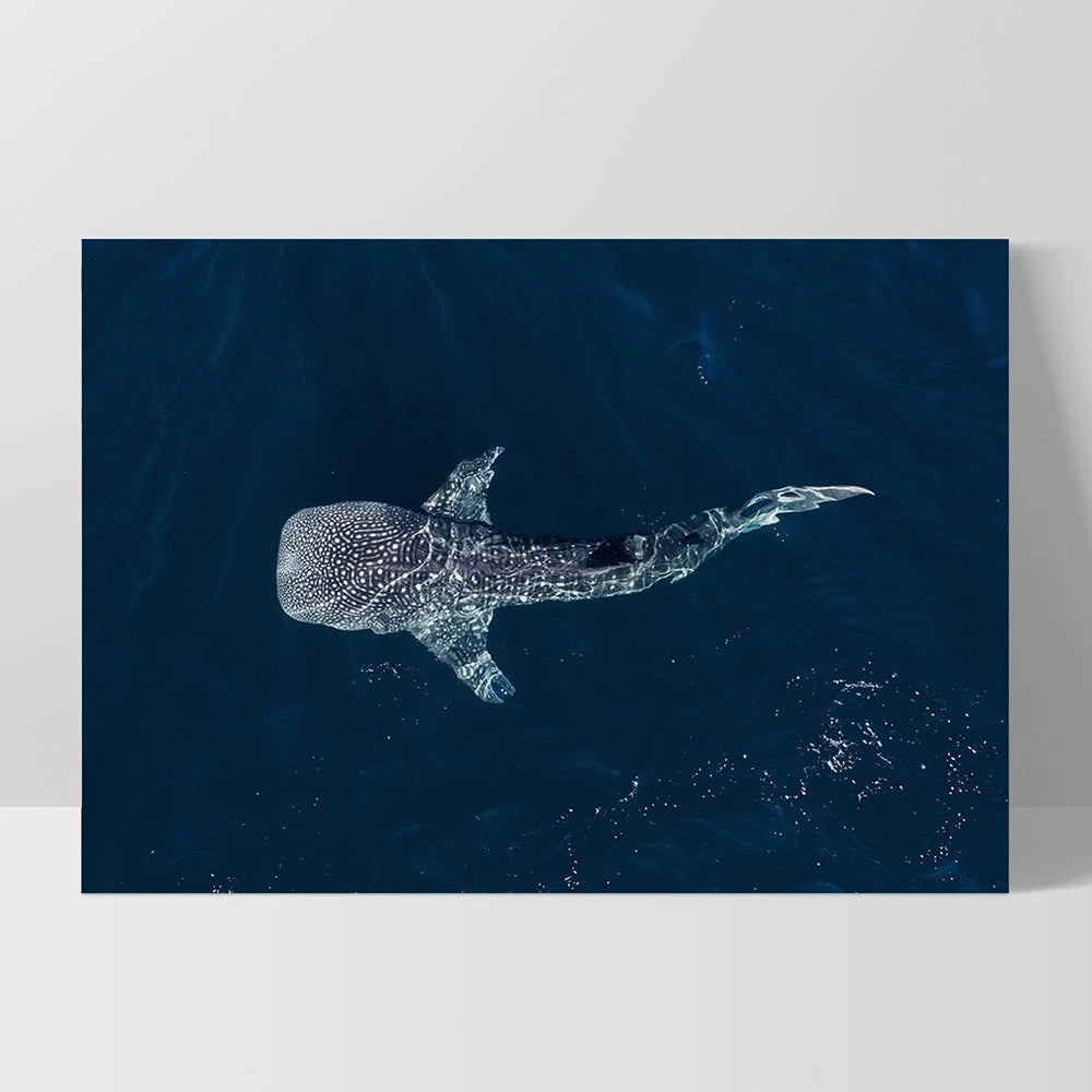 Whale Shark Aerial Ocean Canvas Wall Art – white floating frame