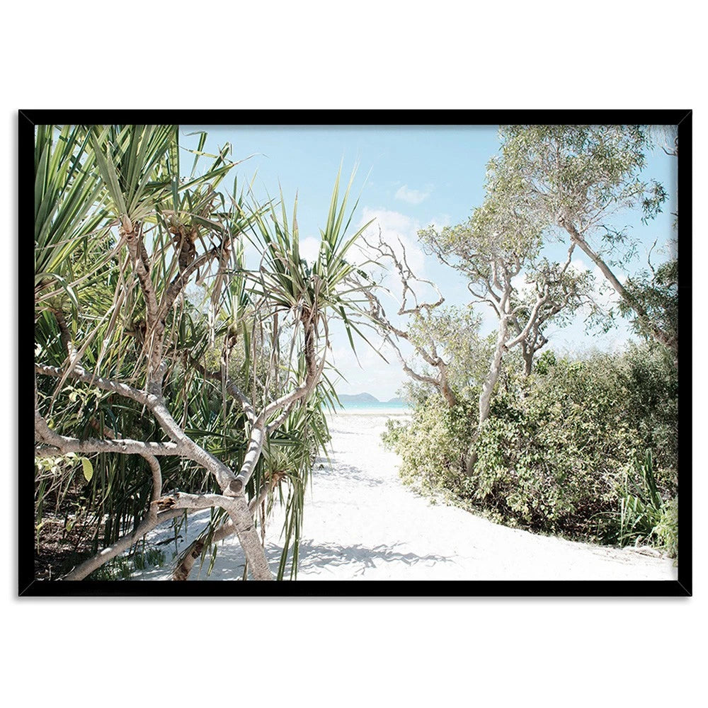 Whitehaven Beach Pandanus Palm Canvas Wall Art – black floating frame