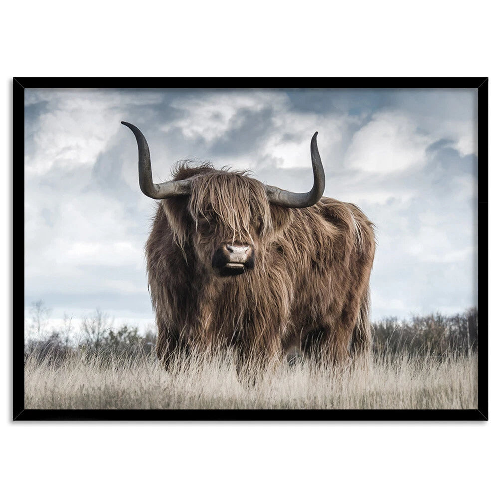 Highland Cow Meadow Canvas Wall Art – black floating frame