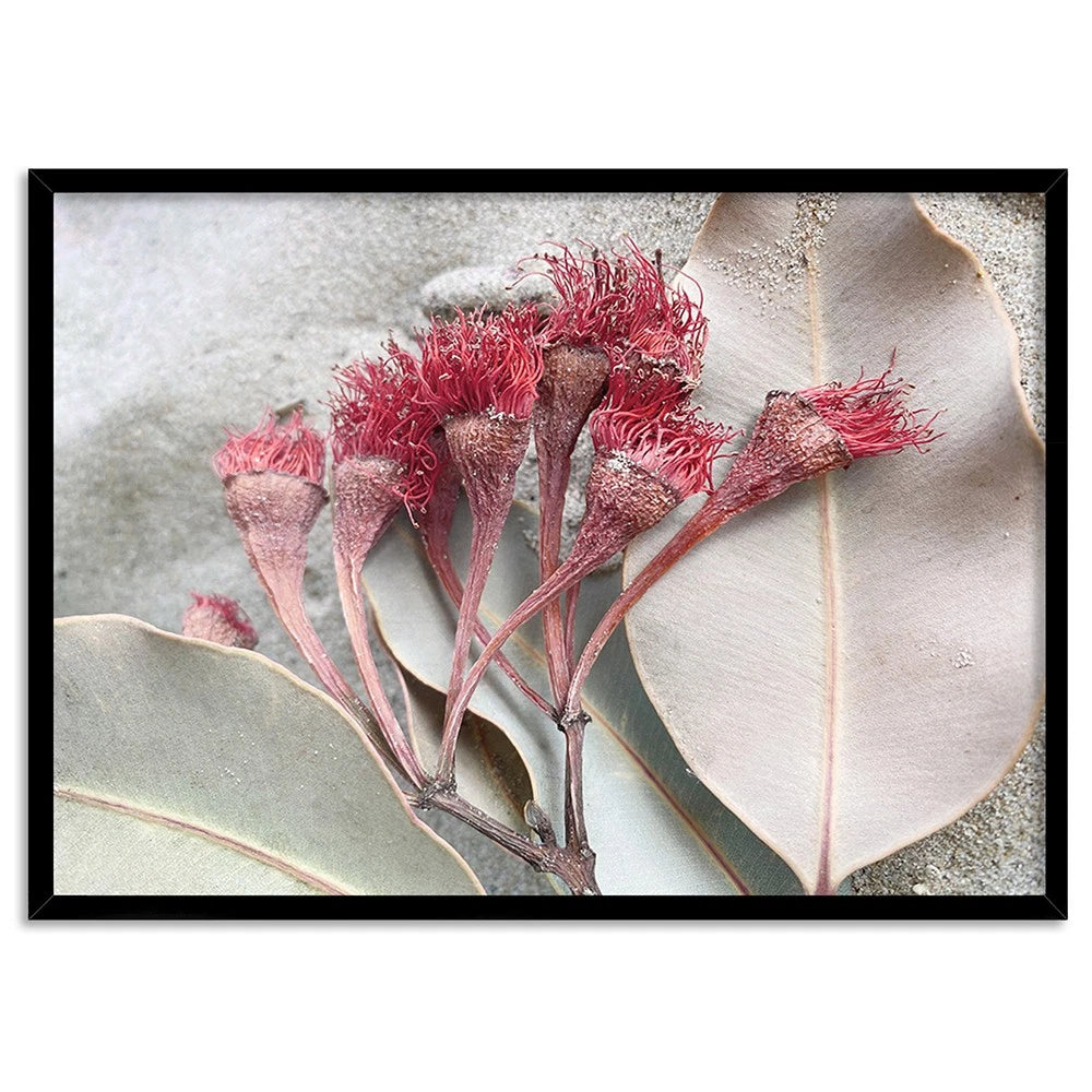 Dried Gum Blossom Botanical Canvas Wall Art – black floating frame