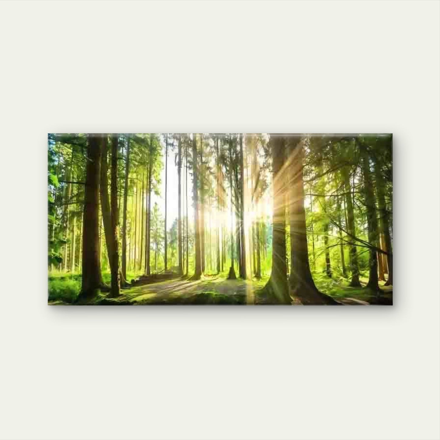 Golden Hour Forest Canvas Print