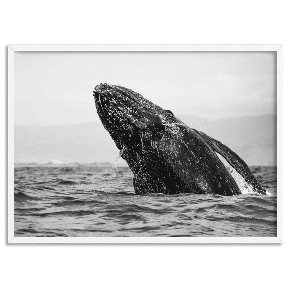 Monochrome Humpback Whale Ocean Canvas Wall Art – artwork