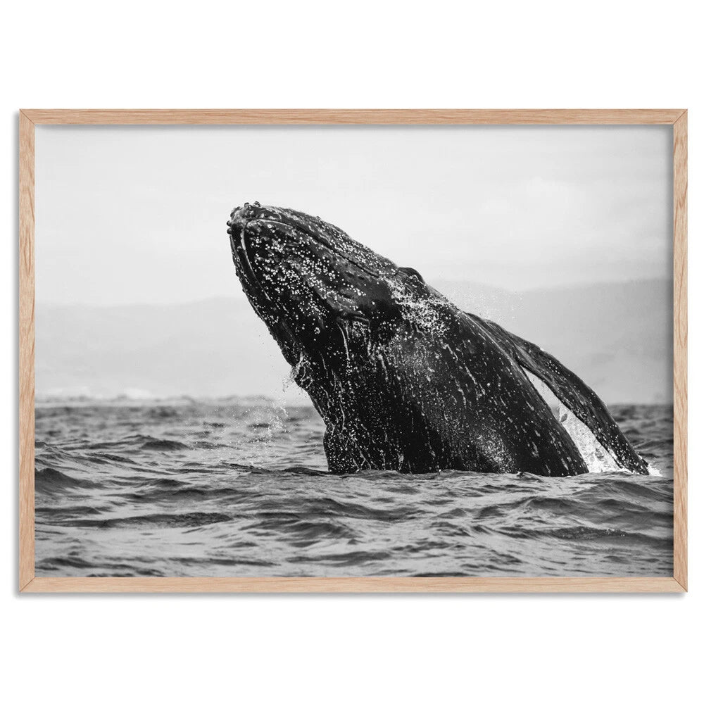 Monochrome Humpback Whale Ocean Canvas Wall Art – birch floating frame