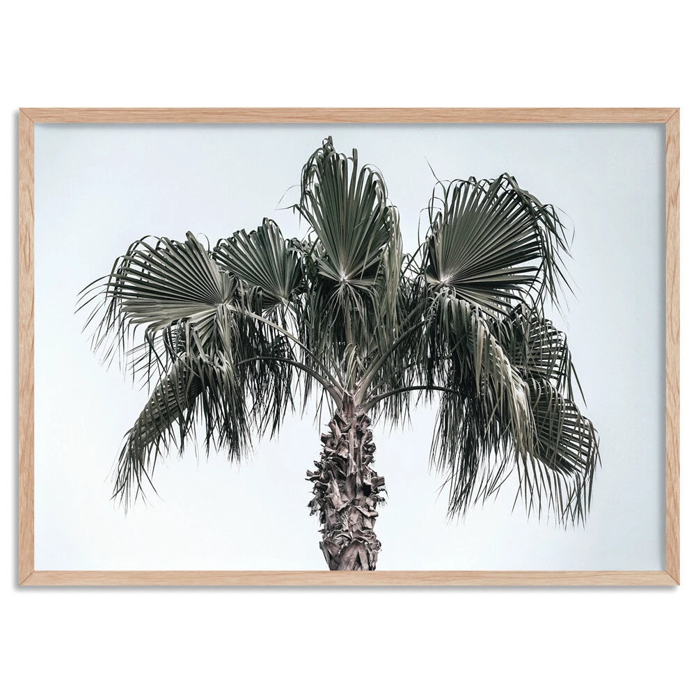 Tropical Palm Tree Landscape Canvas Wall Art – birch floating frame