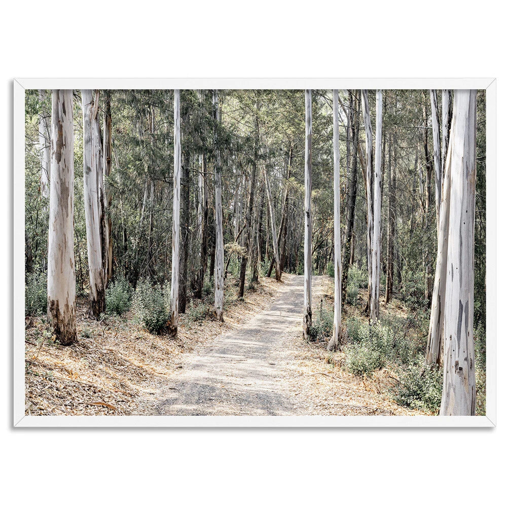 Australian Gumtree Forest Trail Canvas Wall Art – artwork