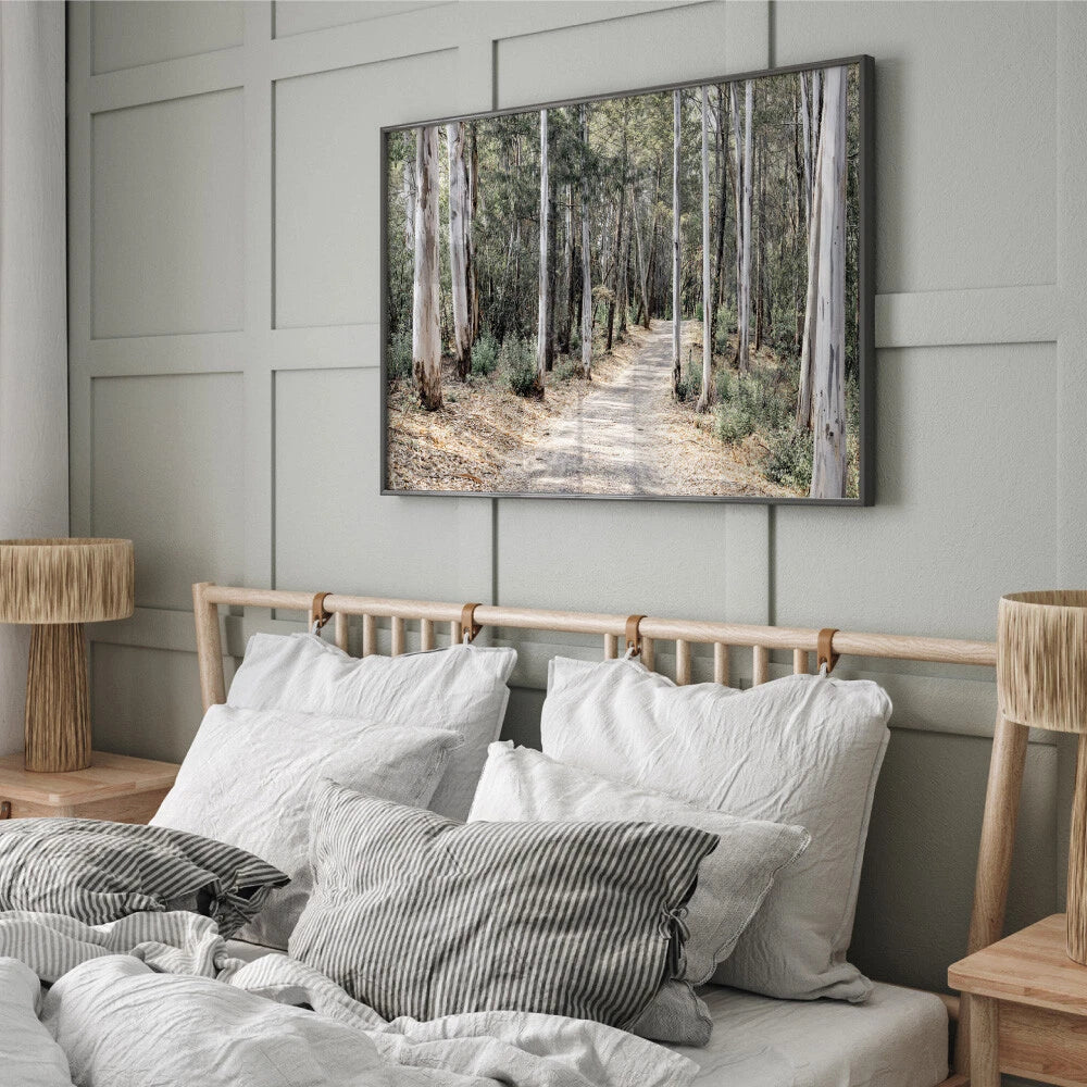 Australian Gumtree Forest Trail Canvas Wall Art – bedroom lifestyle
