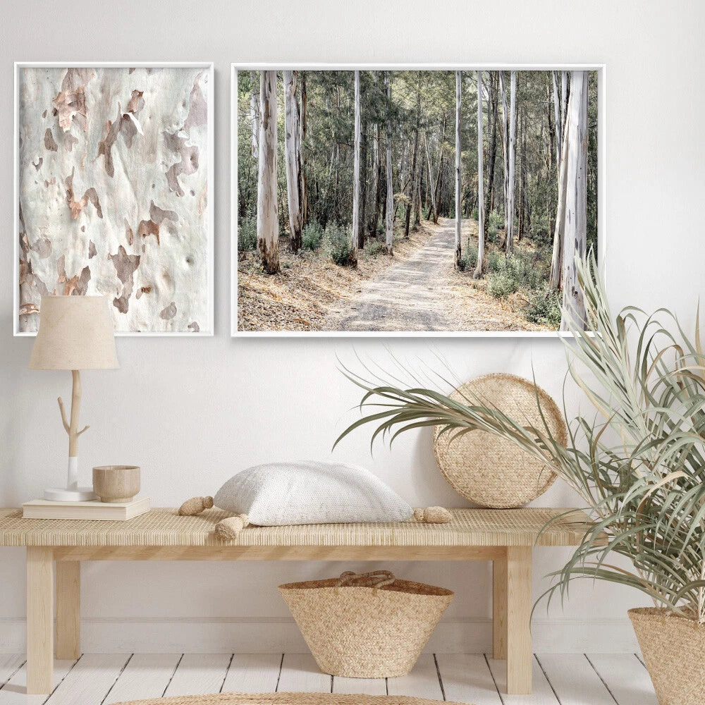 Australian Gumtree Forest Trail Canvas Wall Art – gallery wall lifestyle