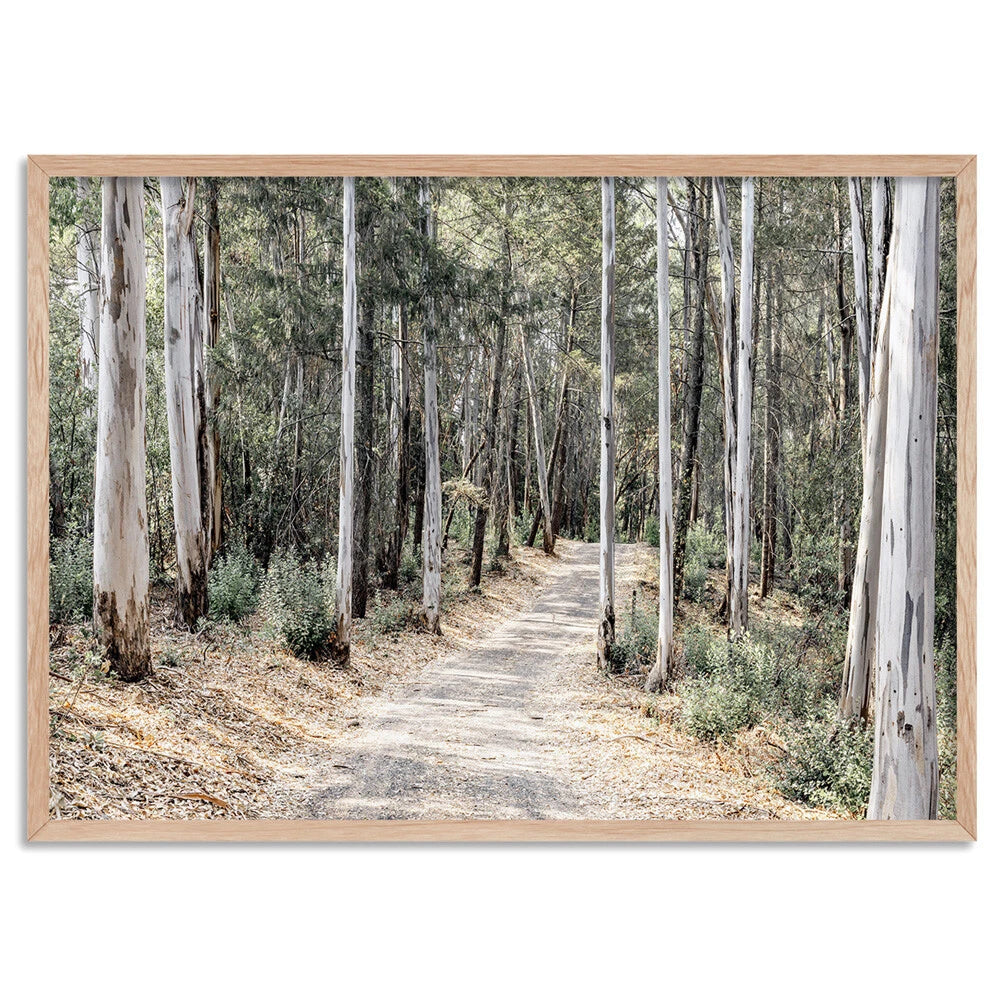 Australian Gumtree Forest Trail Canvas Wall Art – birch floating frame