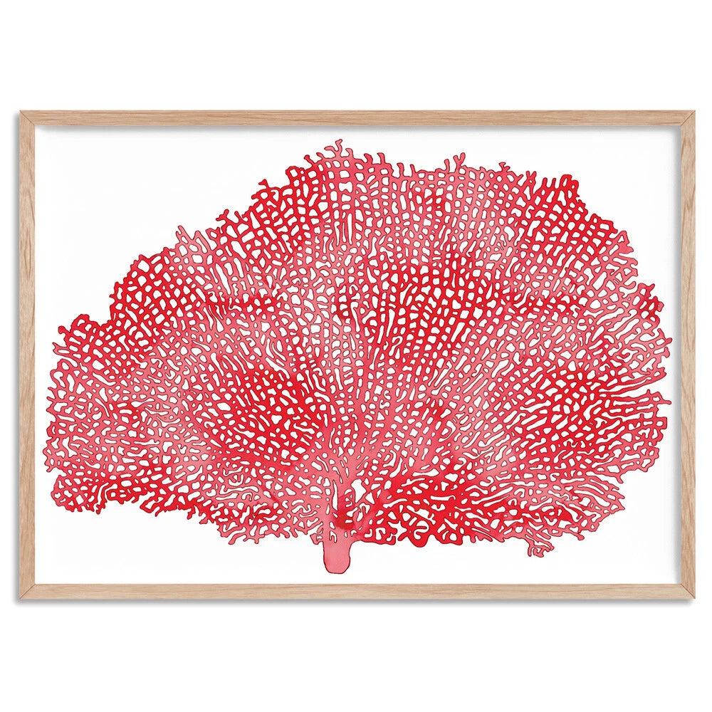 Coral Sea Fan Red Watercolour Canvas Wall Art – birch floating frame