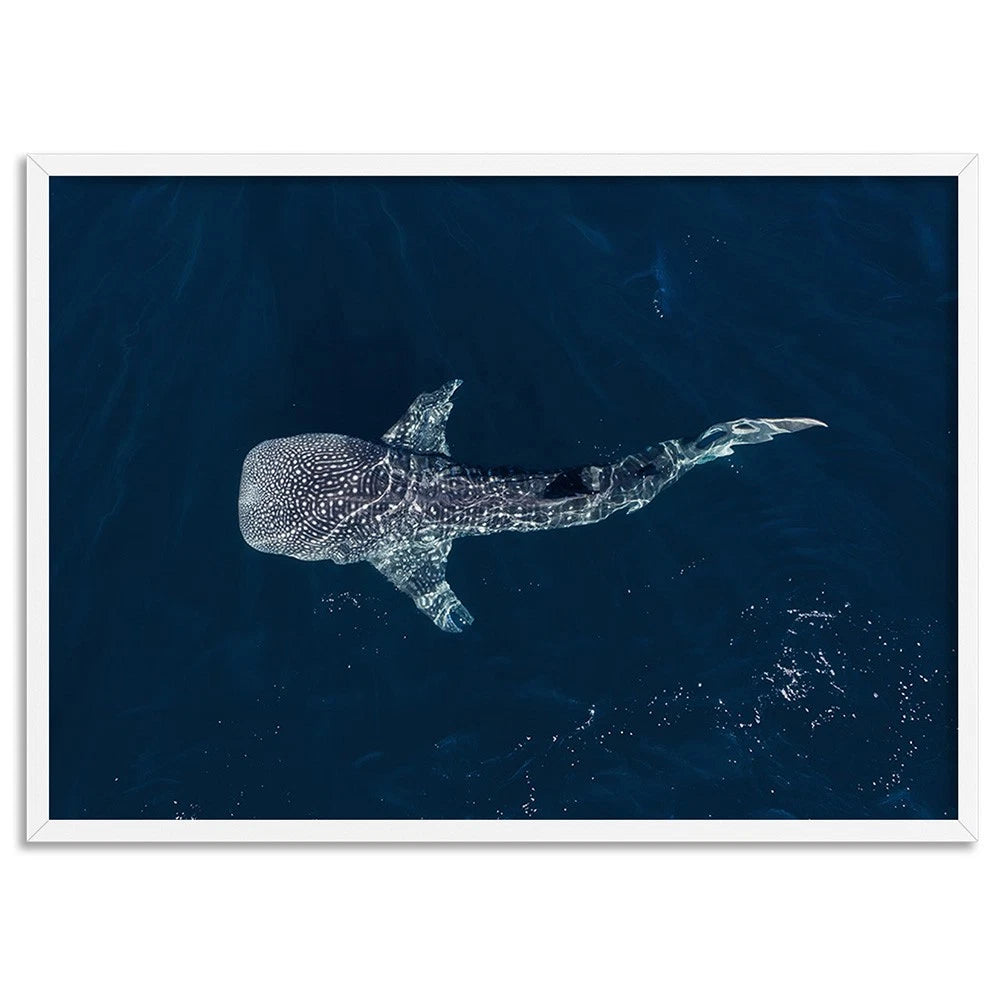 Whale Shark Aerial Ocean Canvas Wall Art – artwork