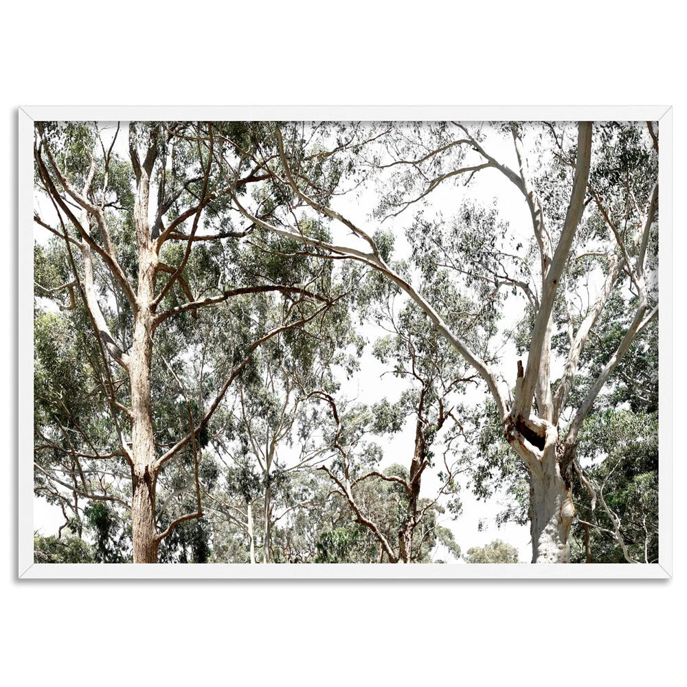 Australian Gumtree Landscape Canvas Wall Art – artwork