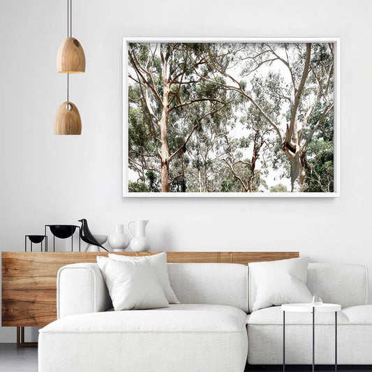 Australian Gumtree Landscape Canvas Wall Art – bedroom lifestyle