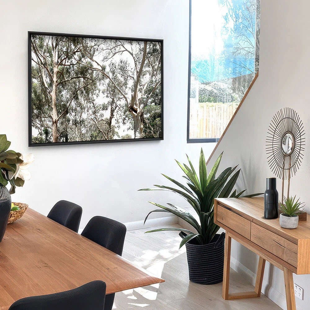Australian Gumtree Landscape Canvas Wall Art – gallery wall lifestyle