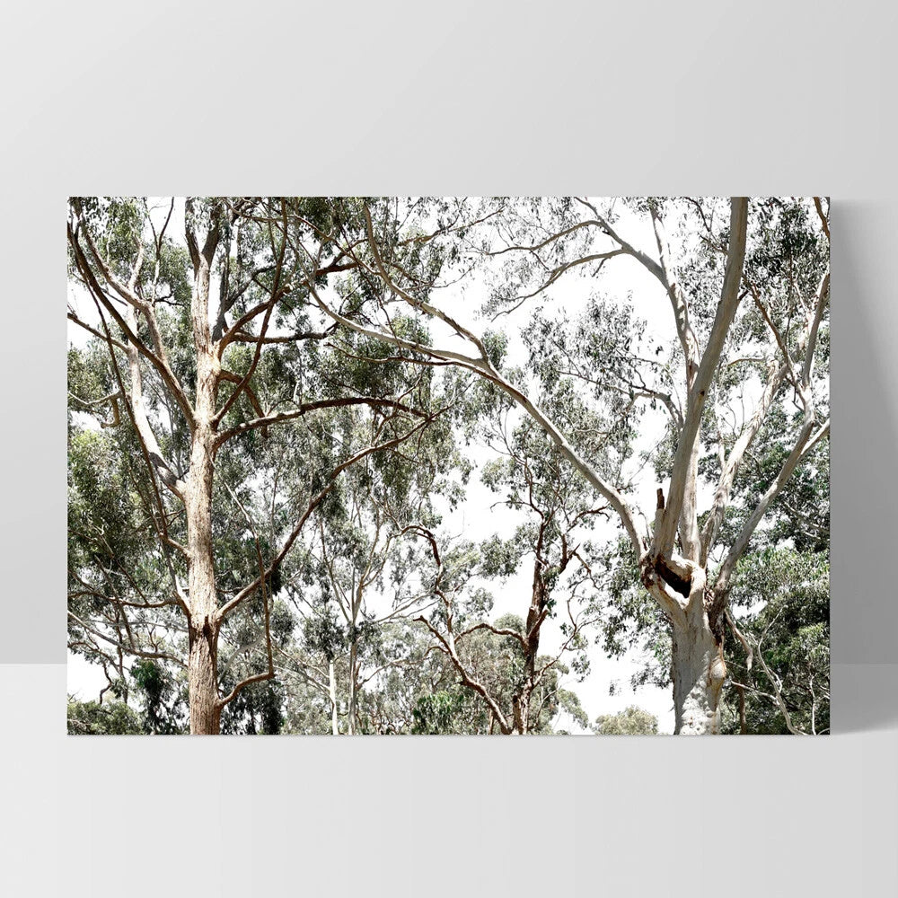 Australian Gumtree Landscape Canvas Wall Art – white floating frame