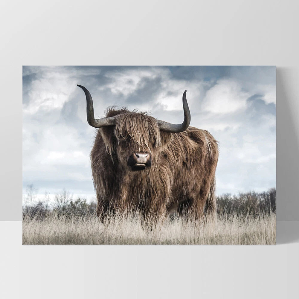 Highland Cow Meadow Canvas Wall Art – white floating frame