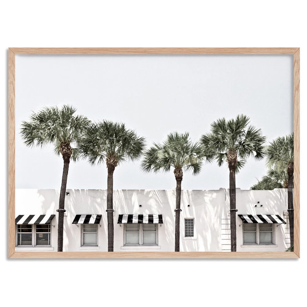 Miami Palm Boulevard Coastal Canvas Wall Art – birch floating frame