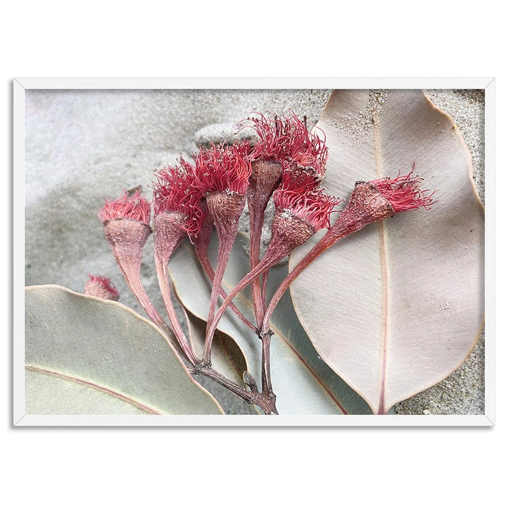 Dried Gum Blossom Botanical Canvas Wall Art – artwork