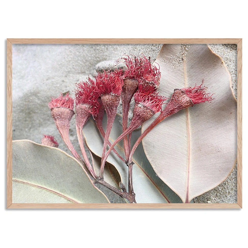 Dried Gum Blossom Botanical Canvas Wall Art – birch floating frame