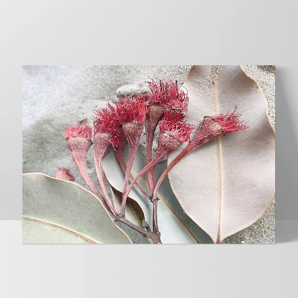 Dried Gum Blossom Botanical Canvas Wall Art – white floating frame