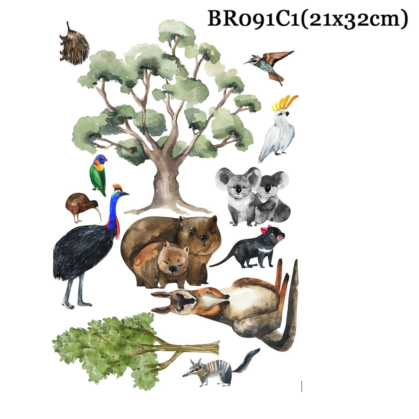 Australian Wildlife & Tree Collection: Kangaroos, Koalas, Wombats, Emus, Parrots, Eucalyptus Trees - BR091