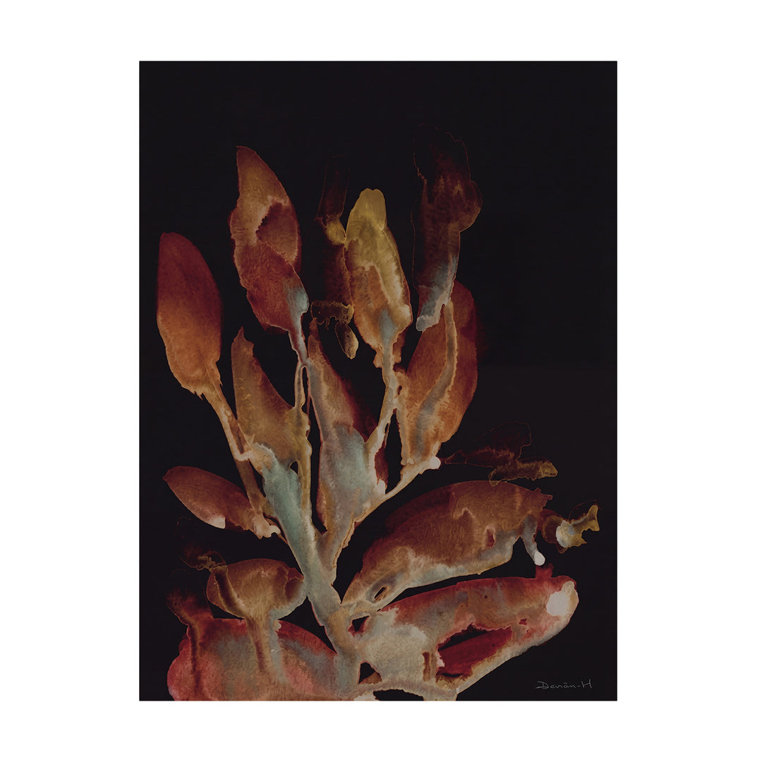 Moody Dark Botanical Canvas Wall Art – Black Floral – product view 7